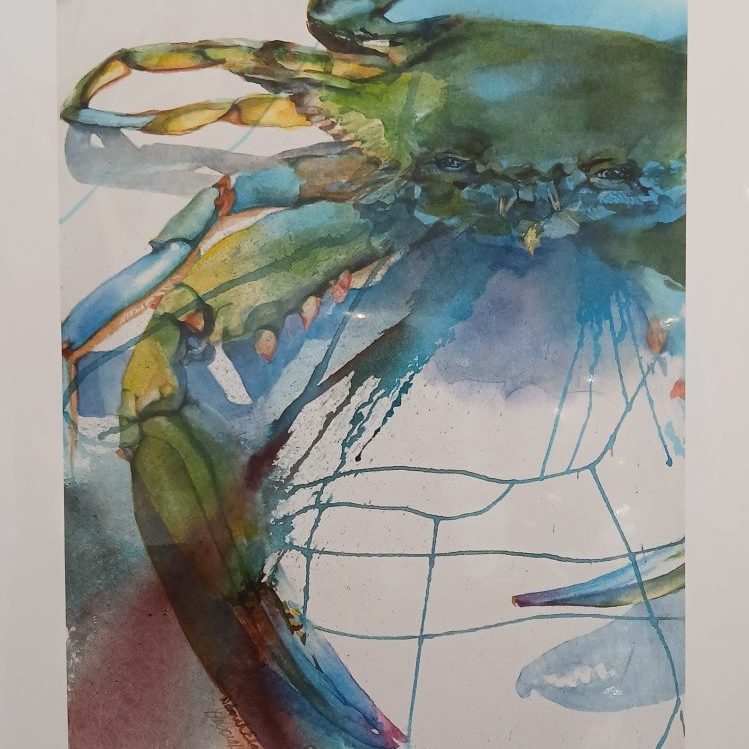 Elaine Crab