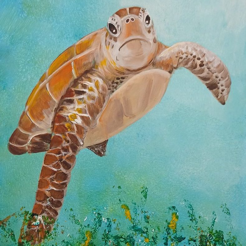 Ruooop 11x14 turtle right